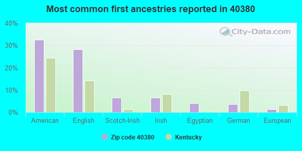 Most common first ancestries reported in 40380