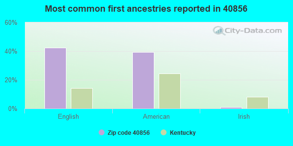 Most common first ancestries reported in 40856