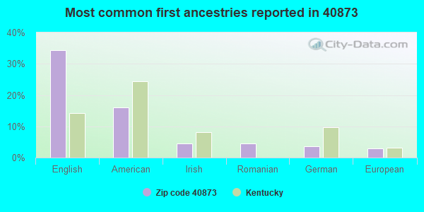 Most common first ancestries reported in 40873