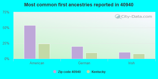 Most common first ancestries reported in 40940