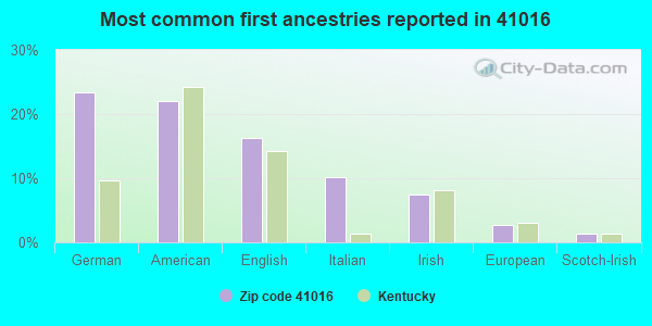 Most common first ancestries reported in 41016