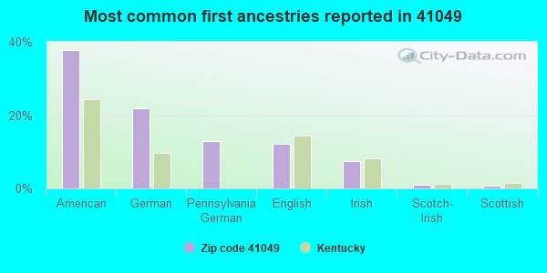Most common first ancestries reported in 41049