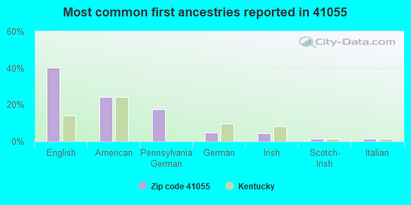 Most common first ancestries reported in 41055
