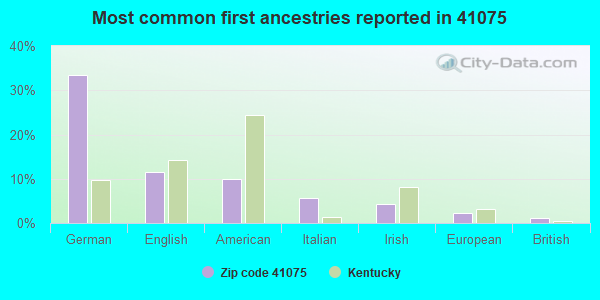 Most common first ancestries reported in 41075