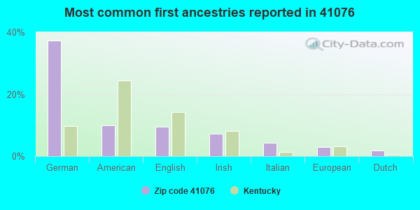 Most common first ancestries reported in 41076