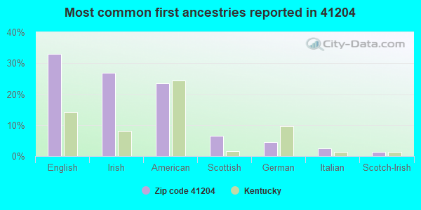 Most common first ancestries reported in 41204
