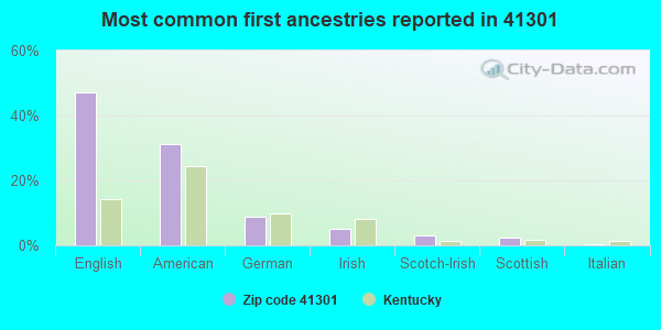 Most common first ancestries reported in 41301