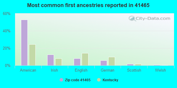 Most common first ancestries reported in 41465