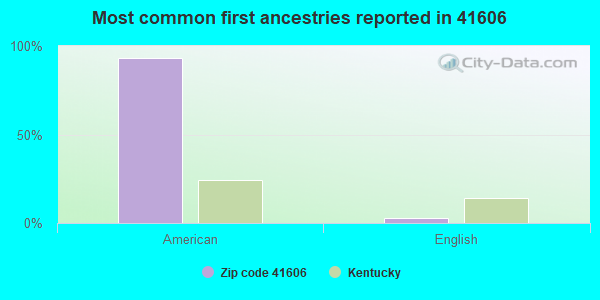 Most common first ancestries reported in 41606