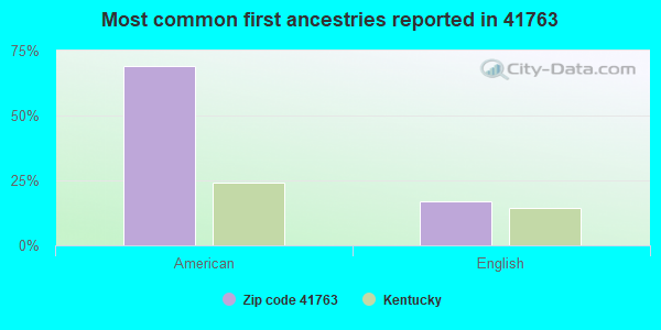 Most common first ancestries reported in 41763