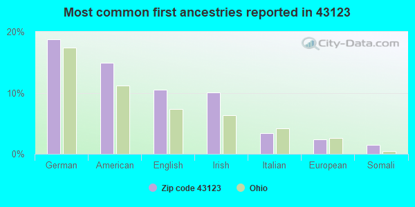 Most common first ancestries reported in 43123