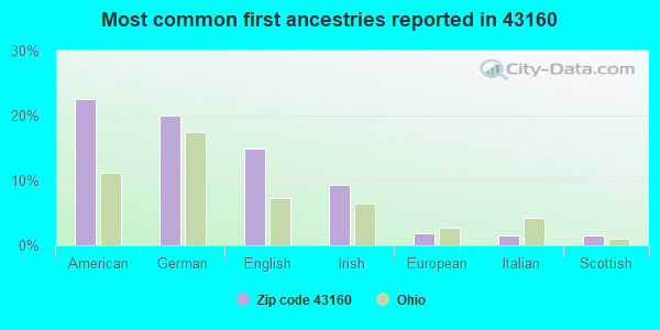 Most common first ancestries reported in 43160