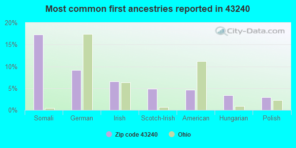Most common first ancestries reported in 43240