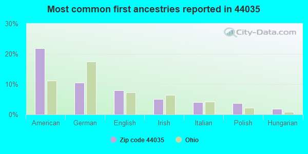 Most common first ancestries reported in 44035
