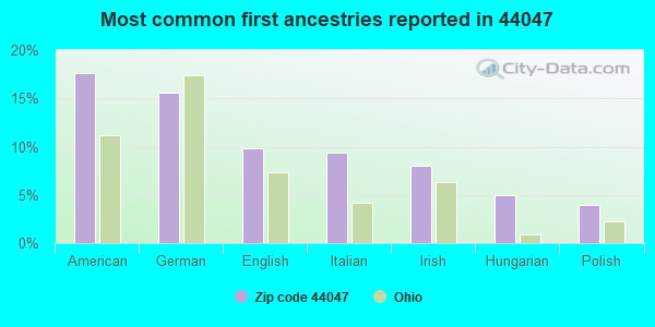 Most common first ancestries reported in 44047
