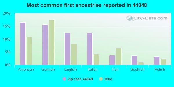 Most common first ancestries reported in 44048