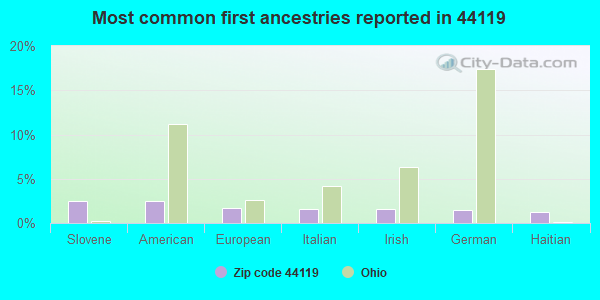 Most common first ancestries reported in 44119