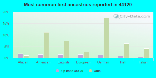 Most common first ancestries reported in 44120