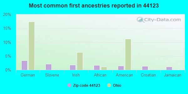 Most common first ancestries reported in 44123