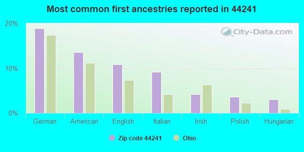 Most common first ancestries reported in 44241
