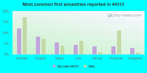 Most common first ancestries reported in 44313
