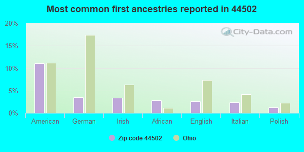 Most common first ancestries reported in 44502