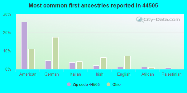Most common first ancestries reported in 44505