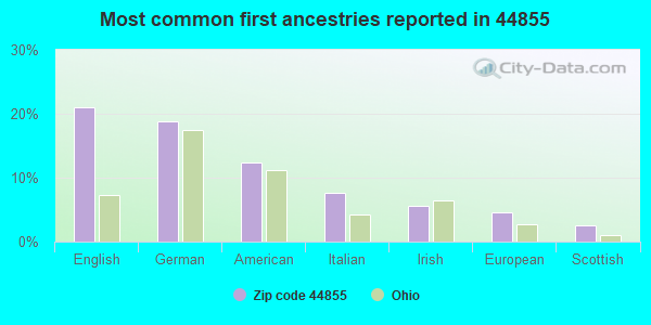 Most common first ancestries reported in 44855