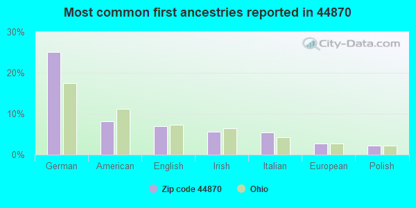 Most common first ancestries reported in 44870