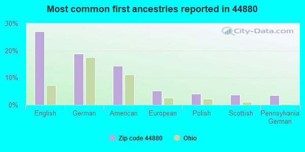 Most common first ancestries reported in 44880