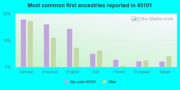 Most common first ancestries reported in 45101