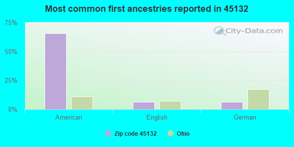 Most common first ancestries reported in 45132