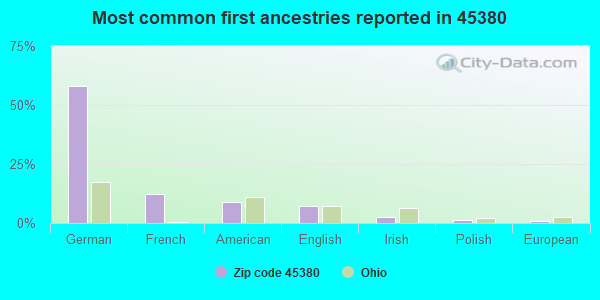 Most common first ancestries reported in 45380
