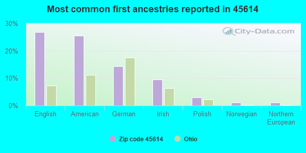 Most common first ancestries reported in 45614