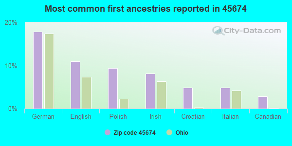 Most common first ancestries reported in 45674