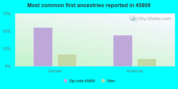 Most common first ancestries reported in 45809