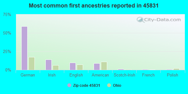 Most common first ancestries reported in 45831