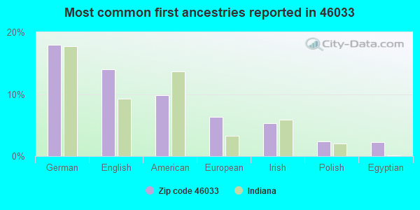 Most common first ancestries reported in 46033