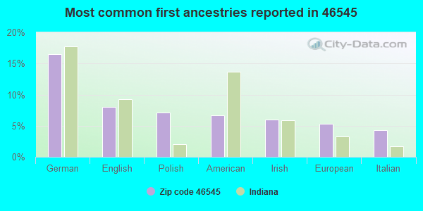 Most common first ancestries reported in 46545