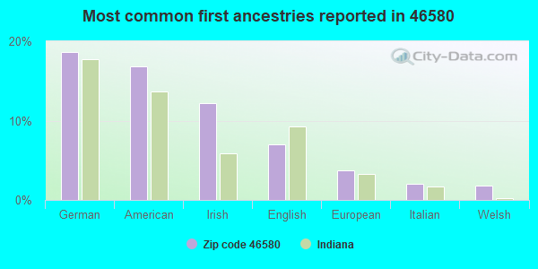 Most common first ancestries reported in 46580