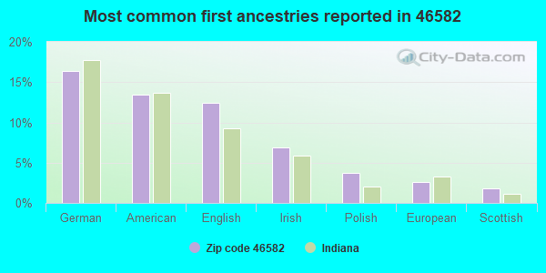 Most common first ancestries reported in 46582