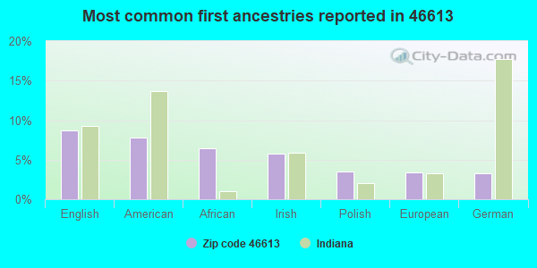 Most common first ancestries reported in 46613
