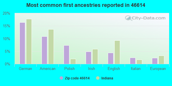 Most common first ancestries reported in 46614
