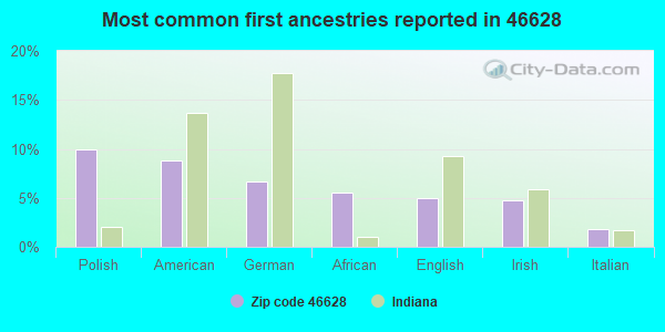 Most common first ancestries reported in 46628