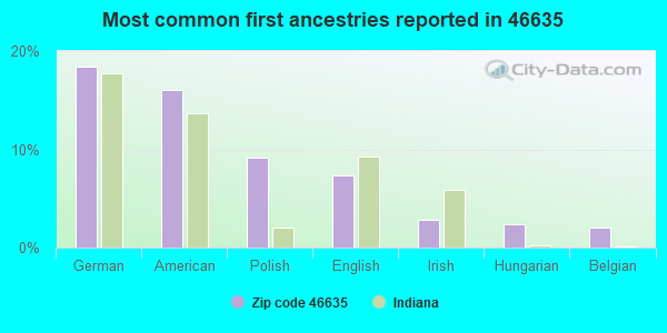 Most common first ancestries reported in 46635
