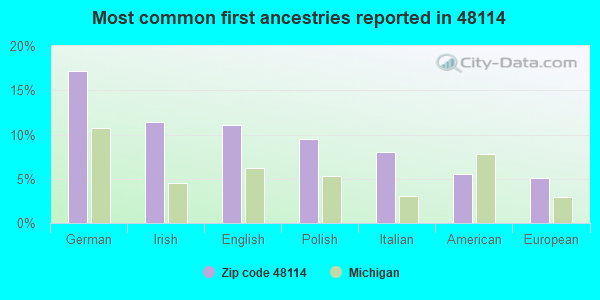 Most common first ancestries reported in 48114