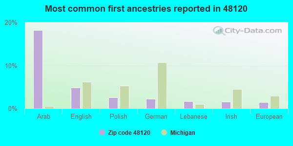 Most common first ancestries reported in 48120