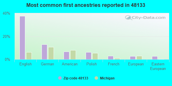 Most common first ancestries reported in 48133