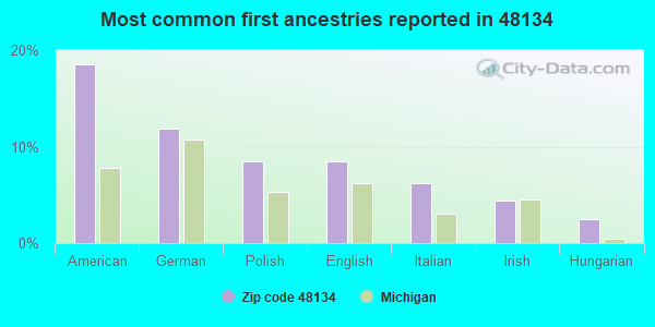 Most common first ancestries reported in 48134