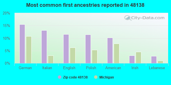 Most common first ancestries reported in 48138